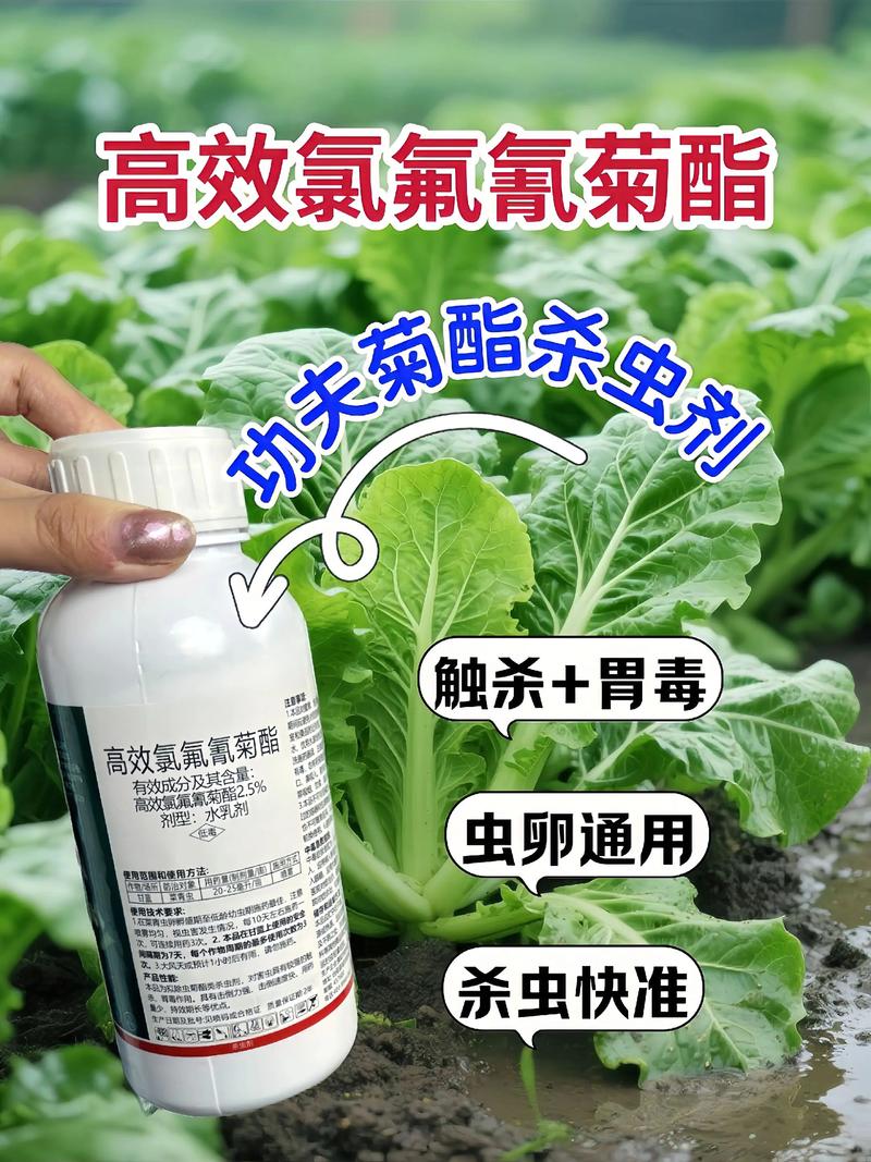 吐鲁番代生中心:农药对供卵代生妈妈的危害